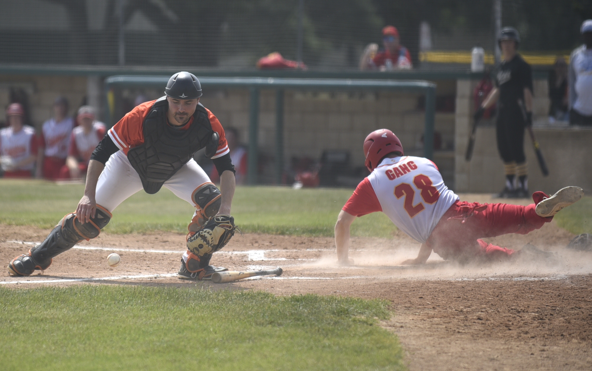 PHOTO GALLERY: Amateur Baseball - Blarney's Classic - Canova Gang vs Mt. Vernon Mustangs 